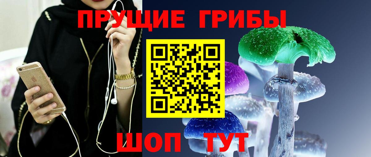 Псилоцибиновые грибы прущие грибы Курчатов