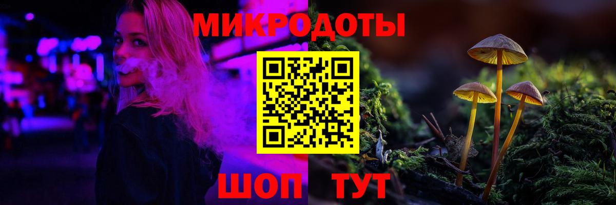 Псилоцибиновые грибы Cubensis  где купить наркоту  Курчатов  Вход с VPN 